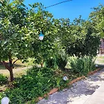 Marijano Dvosobni S Vrtom 扎达尔